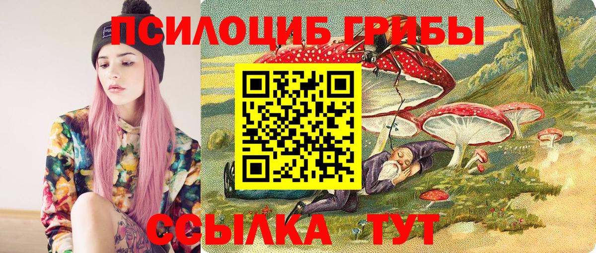 Шали  Галлюциногенные грибы Magic Shrooms  Вход с VPN 